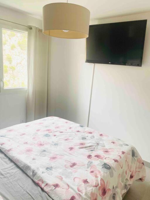 Appartement Luxueux T3 Piscine Et Vue Somptueuse